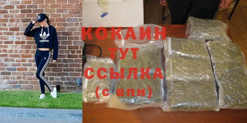 Cocaine Колумбийский  что такое   Ленинск 